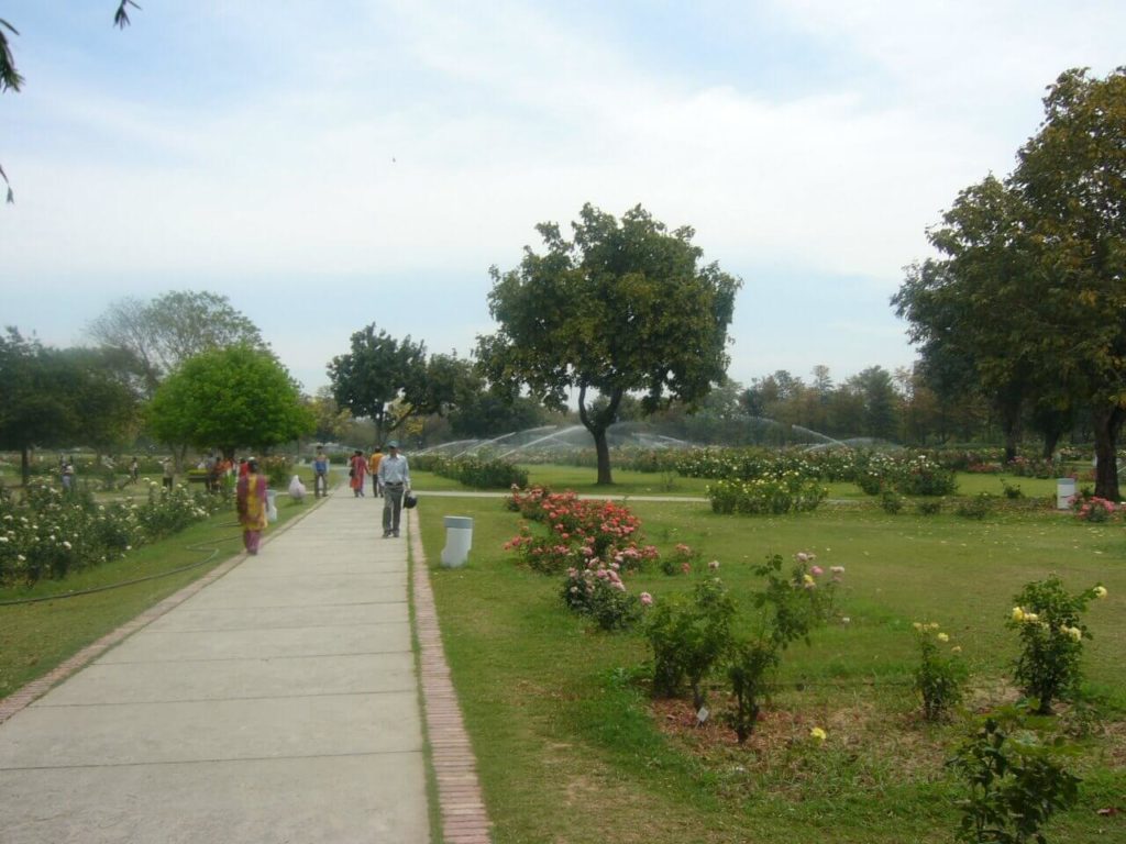 Rose_Garden_Chandigarh1