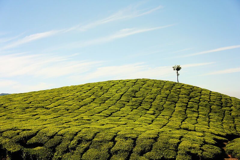 Munnar places to visit