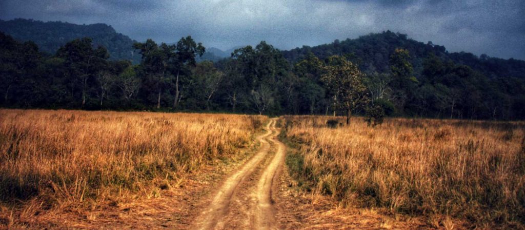 durga-devi-zone-jim-corbett