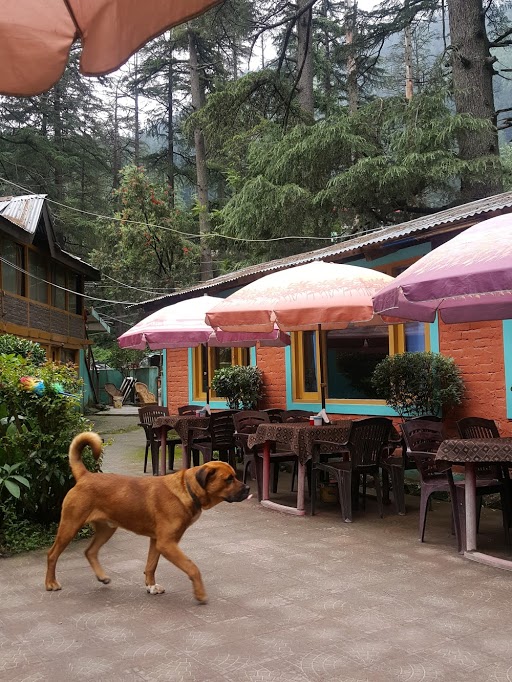 moon-dance-cafe-kasol