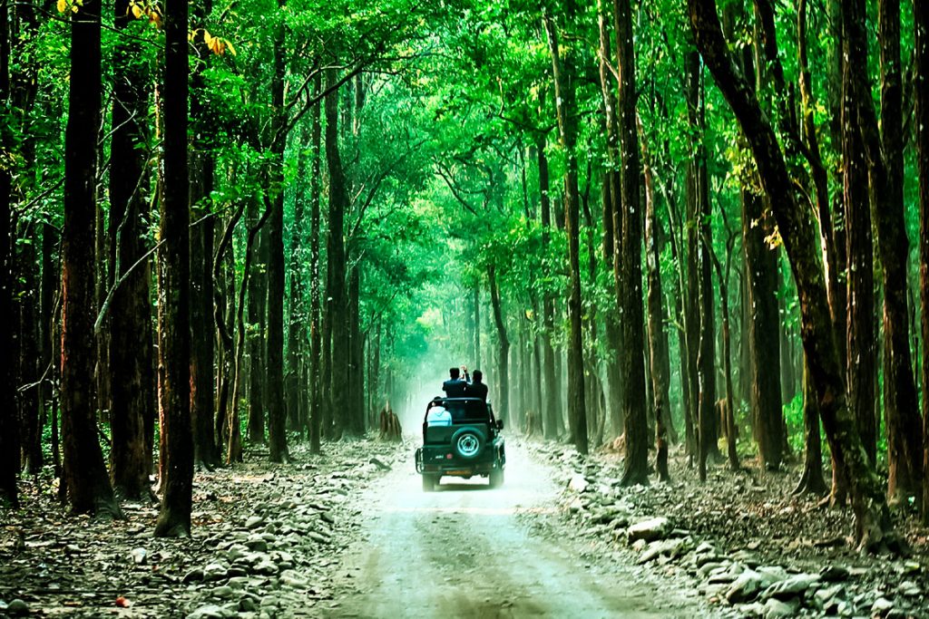 sitabani-zone-jim-corbett-national-park