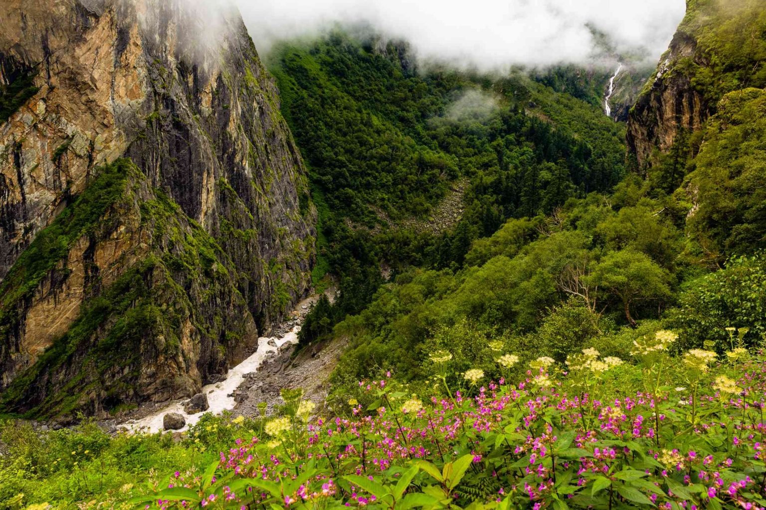 Valley Of Flowers National Park Uttrakhand Trippy Mania