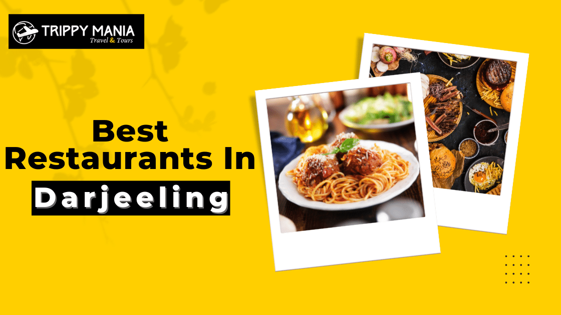 Best Restaurants In Darjeeling