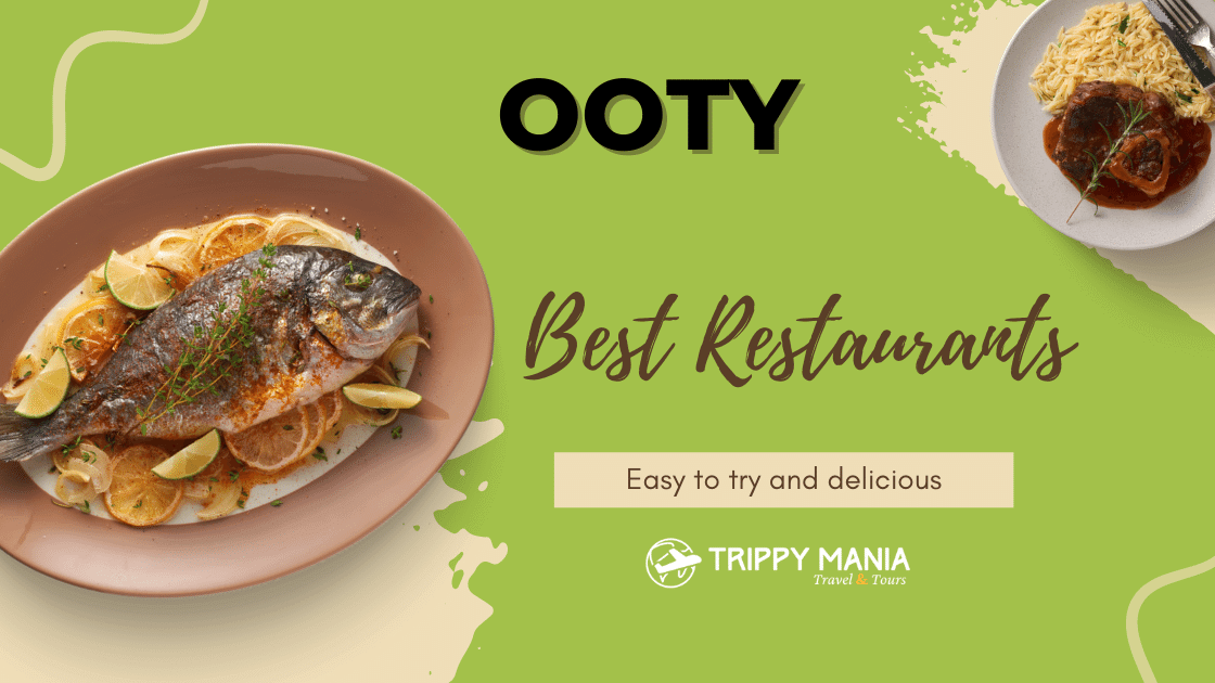 Best-Restaurants-In-Ooty-1