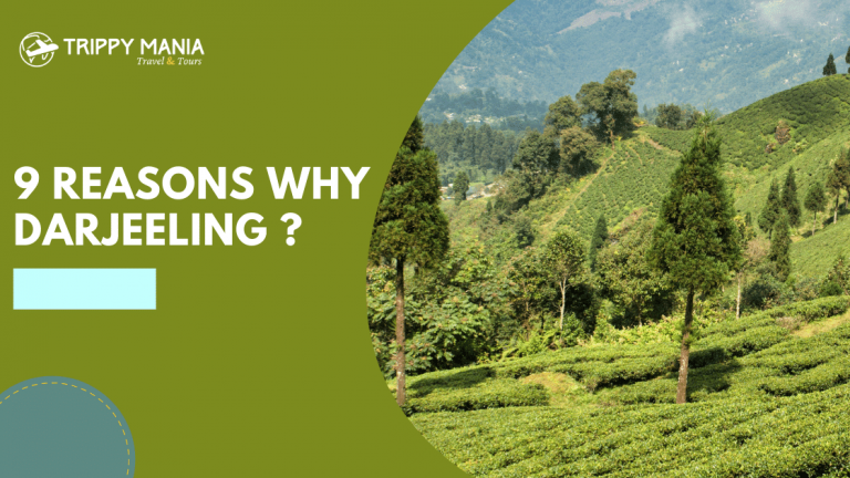 9 reasons why Darjeeling